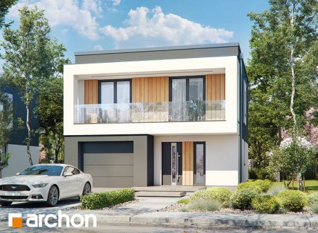 Проект дома Дом в клематисах 24