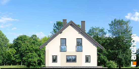 Проект дома Дом в изопируме - 4 С мансардным этажом дома в Киеве