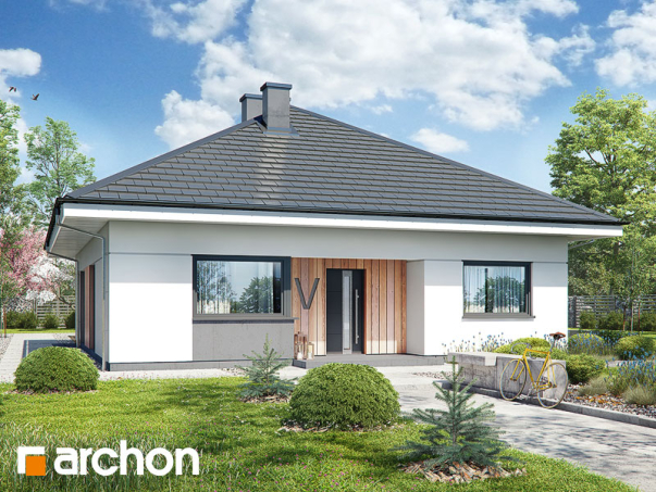 Проект дома Дом в хакетиях 3 - 1 Одноэтажные дома в Киеве