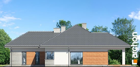 Проект дома Дом в жонкилях (Г2) - 4 Одноэтажные дома в Киеве