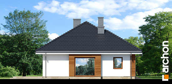 Проект дома Дом в герани - 5 Одноэтажные дома в Киеве