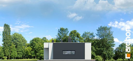 Проект дома Дом в пеперомиях (Г2) - 4 Одноэтажные дома в Киеве