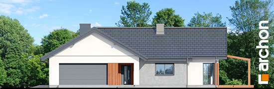 Проект дома Дом в грандаросах (Г2) - 3 Одноэтажные дома в Киеве