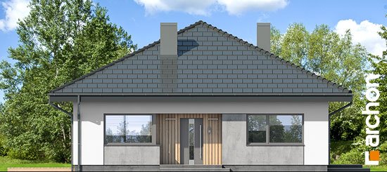 Проект дома Дом в хакетиях 6 - 3 Одноэтажные дома в Киеве