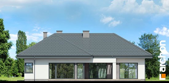 Проєкт будинку Будинок в каландівах - Одноповерхові дома у Києві