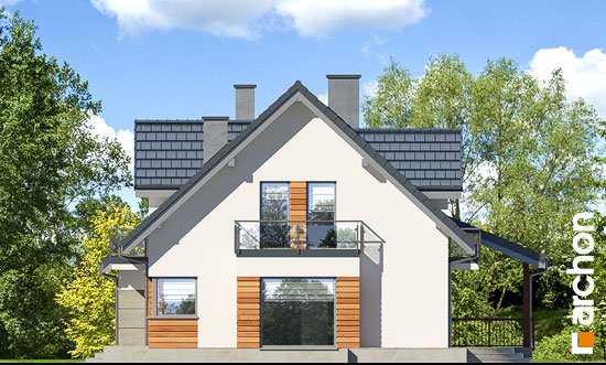 Проект дома Дом в тамарисках 4 (ПН) - 4 С мансардным этажом дома в Киеве