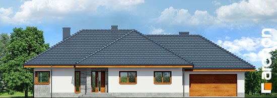 Проект дома Дом в альвах (Г2) - 3 Одноэтажные дома в Киеве