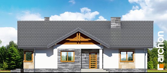 Проект дома Дом в лещиновнике 2 - 3 Одноэтажные дома в Киеве