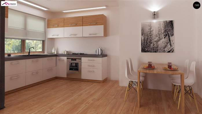 Проект дома U287 - 6 Одноэтажные дома в Киеве