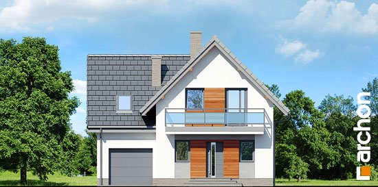 Проект дома Дом в винограде 6 вер.2 - 3 С мансардным этажом дома в Киеве