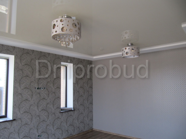 Проект дома Db 1 - 5 Двухэтажные дома в Киеве