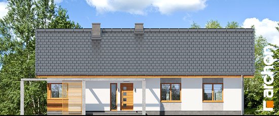 Проект дома Дом в мекинтошах (ВП) - 3 Одноэтажные дома в Киеве