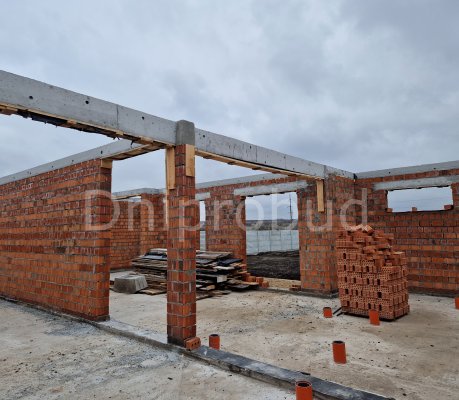 Великий класичний будинок в с. Новоолександрівка