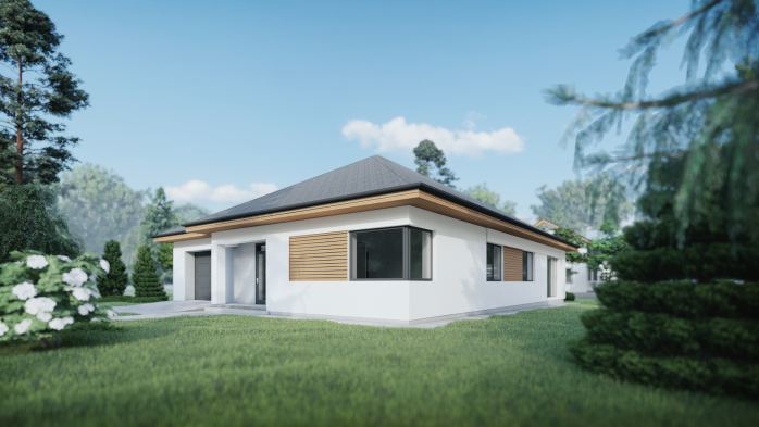 Проект дома DBT 205 - 2 Одноэтажные дома в Киеве