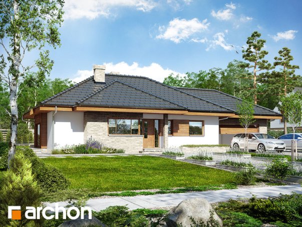 Проект дома Дом под цицербитой (Г2) - 1 Одноэтажные дома в Киеве