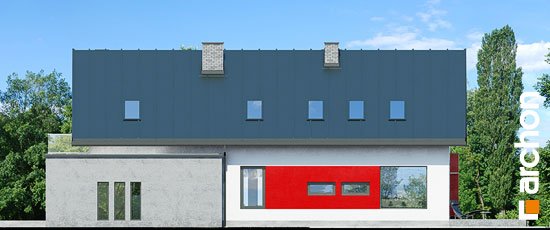 Проект дома Дом в карри вер.2 - 6 С мансардным этажом дома в Киеве