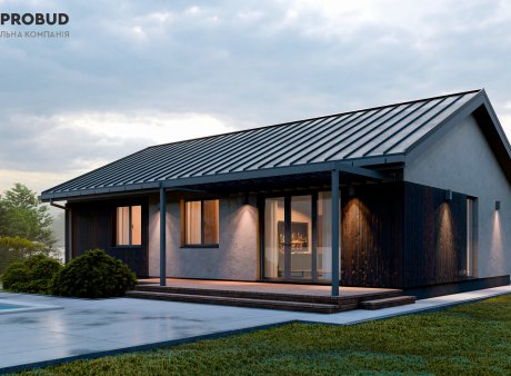 Проєкт будинку DB 53