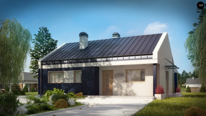 Проект дома U256 - 2 Одноэтажные дома в Киеве