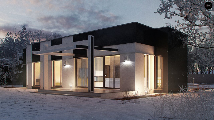 Проект дома Ux116 - 3 Одноэтажные дома в Киеве