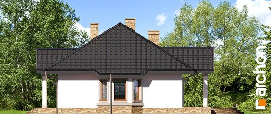 Проект дома Дом в гаурах 5 - 4 Одноэтажные дома в Киеве