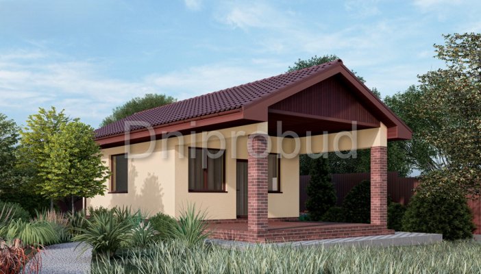 Современный одноэтажный дом в с. Белогородка