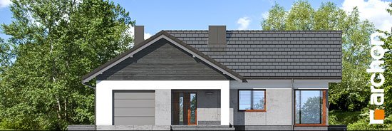 Проект дома Дом в видличках - 3 Одноэтажные дома в Киеве