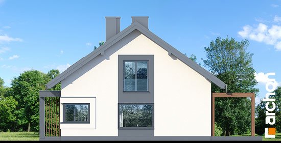 Проект дома Дом под красной рябиной 20 - 4 Одноэтажные дома в Киеве