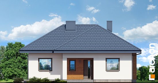 Проект дома Дом в коштелях - 3 Одноэтажные дома в Киеве