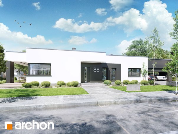 Проект дома Дом в пеперомиях (Г2) - 2 Одноэтажные дома в Киеве