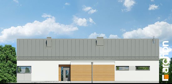 Проект дома Дом в анабеллях - 4 Одноэтажные дома в Киеве