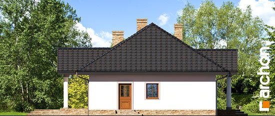 Проект дома Дом в гаурах 5 - 5 Одноэтажные дома в Киеве