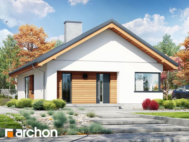 Проект дома Дом под апельсином (СМ) - 2 Одноэтажные дома в Киеве