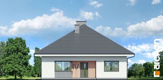 Проект дома Дом в хакетиях 3 - 3 Одноэтажные дома в Киеве