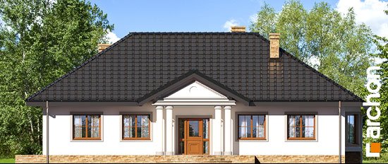 Проект дома Дом в гаурах 5 - 3 Одноэтажные дома в Киеве