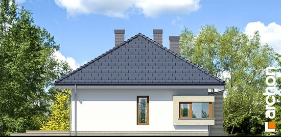 Проект дома Дом под красной рябиной 7 вер.2 - 5 Одноэтажные дома в Киеве