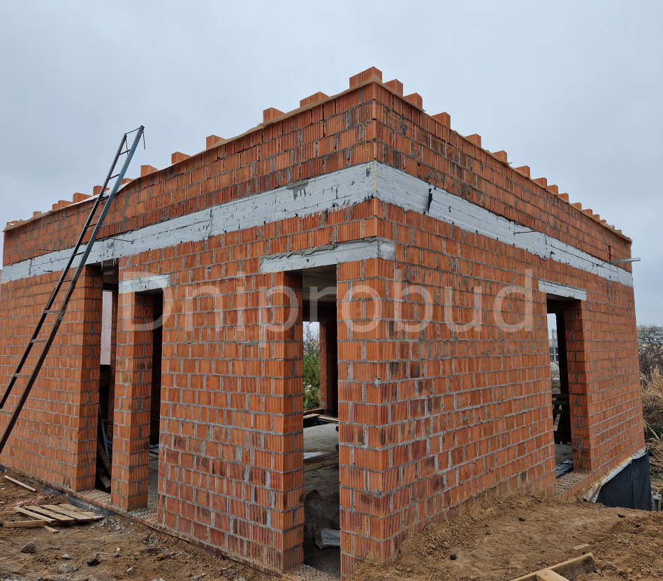 Невеликий будинок з плоскою покрівлею на Соколі