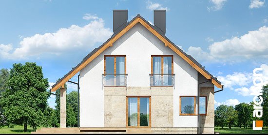 Проект дома Дом в ариземах - 5 С мансардным этажом дома в Киеве