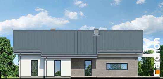 Проект дома Дом в пеперомиях 2 - 6 Одноэтажные дома в Киеве