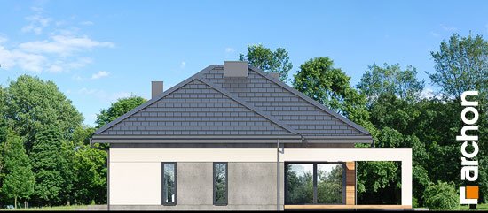 Проект дома Дом в нигеллах (Г2) - 6 Одноэтажные дома в Киеве