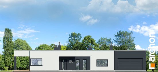 Проект дома Дом в пеперомиях (Г2) - 3 Одноэтажные дома в Киеве