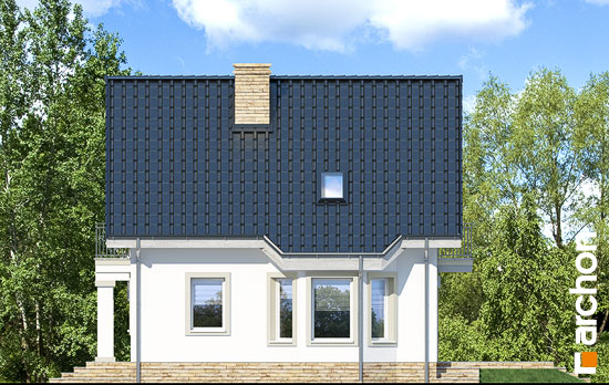 Проект дома Дом в винограде 2 (П) - 4 С мансардным этажом дома в Киеве