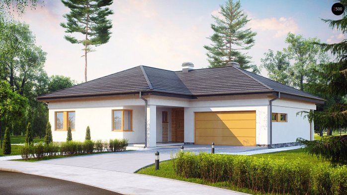 Проект дома U204 - 2 Одноэтажные дома в Киеве