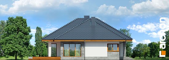 Проект дома Дом в альвах (Г2) - 5 Одноэтажные дома в Киеве