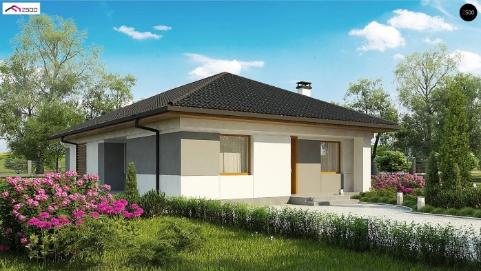 Проєкт будинку U328 - Одноповерхові дома у Києві