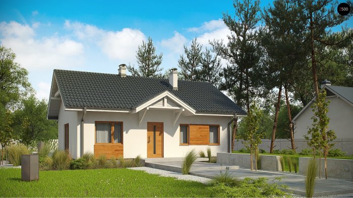 Проект дома U308 - 1 Одноэтажные дома в Киеве