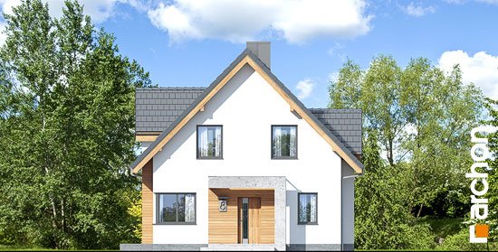 Проект дома Дом в медуницах (Н) - 3 С мансардным этажом дома в Киеве