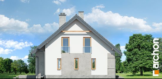 Проект дома Дом в аурорах 5 - 5 С мансардным этажом дома в Киеве