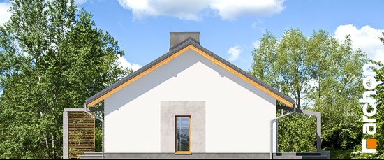 Проект дома Дом в мекинтошах (ВП) - 4 Одноэтажные дома в Киеве