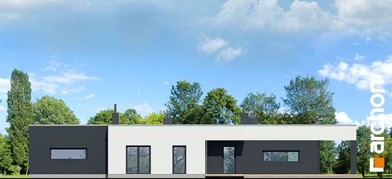 Проект дома Дом в пеперомиях (Г2) - 6 Одноэтажные дома в Киеве