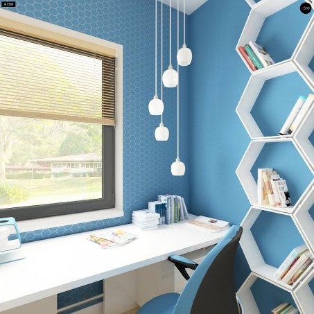 Проект дома U24 GL S - 12 Одноэтажные дома в Киеве